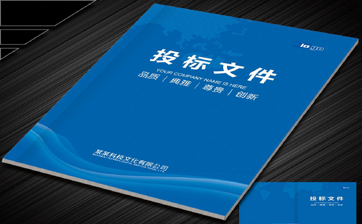 海南藏族文件标书空运